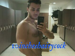 10incheshairycock