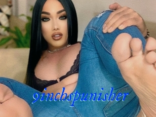 9inchspunisher