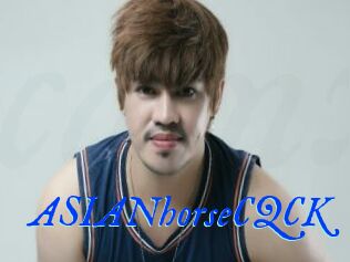 ASIANhorseCQCK