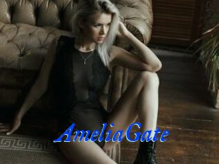 AmeliaGate