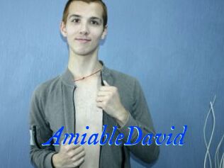 AmiableDavid
