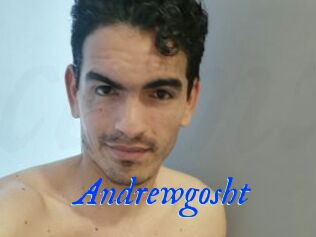 Andrewgosht