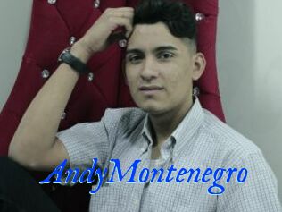 AndyMontenegro