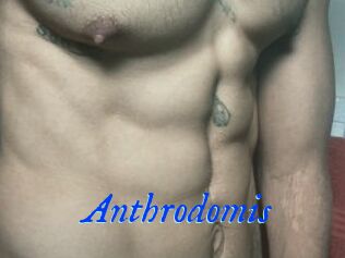 Anthrodomis