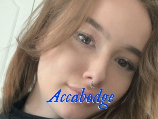 Accabodge