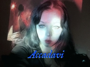 Accadavi