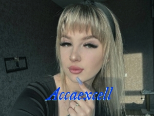 Accaexcell