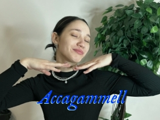 Accagammell