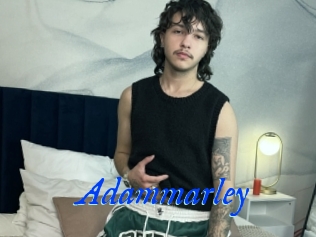 Adammarley