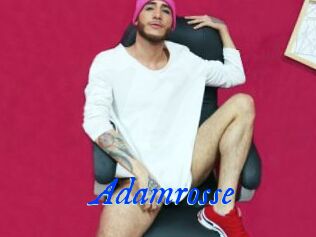 Adamrosse