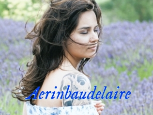 Aerinbaudelaire