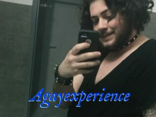 Agayexperience