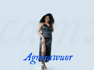 Agnesawuor