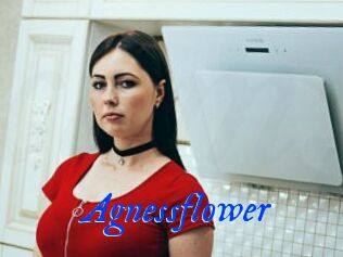 Agnessflower