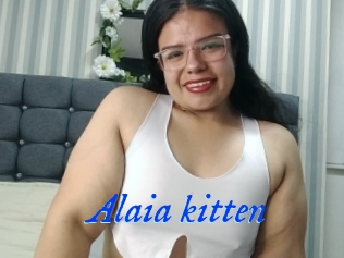 Alaia_kitten