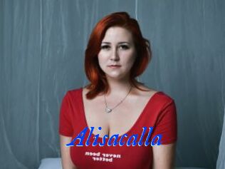Alisacalla