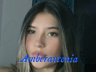 Amberantonia