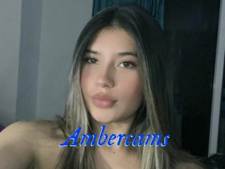 Ambercams
