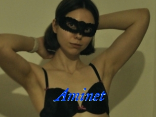 Aminet