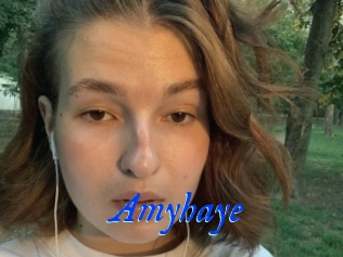 Amyhaye