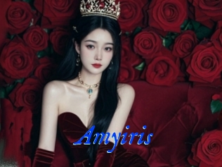 Amyiris