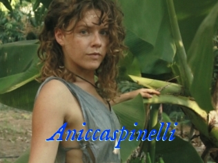 Aniccaspinelli