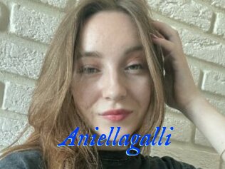 Aniellagalli