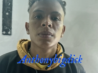 Anthonybigdick