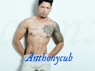 Anthonycub