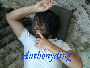 Anthonyding