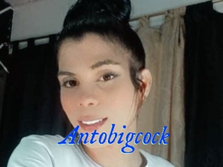 Antobigcock