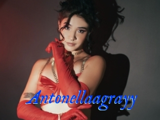 Antonellaagrayy