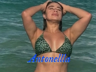 Antonellla