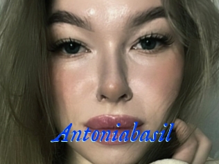 Antoniabasil
