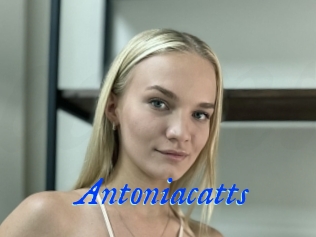 Antoniacatts