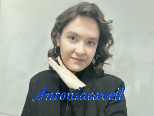Antoniacavell