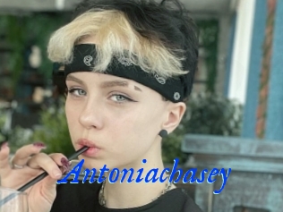 Antoniachasey