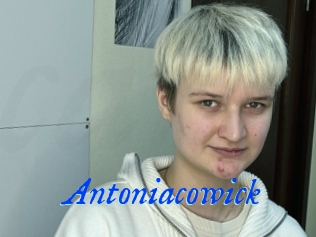 Antoniacowick