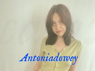 Antoniadowey