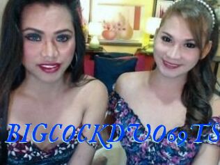 BIGCOCKDUO69TS
