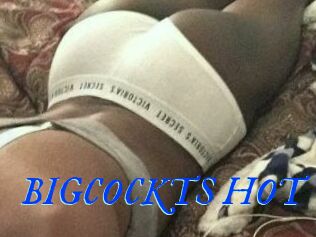 BIGCOCKTS_HOT