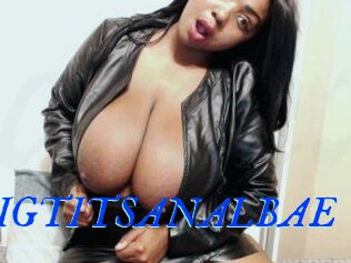 BIGTITSANALBAE