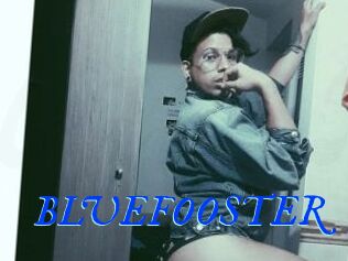 BLUEFOOSTER