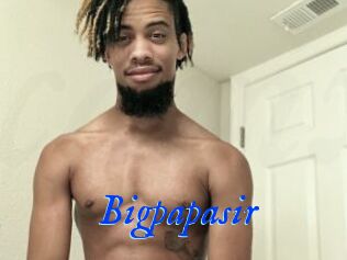 Bigpapasir