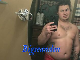 Bigseandon