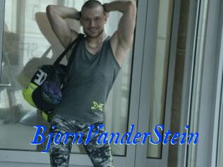 BjornVanderStein