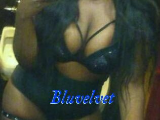 Bluvelvet