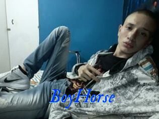 BoyHorse