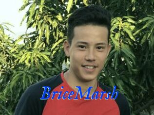 BriceMarsh
