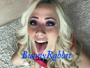 BunnyRabbit